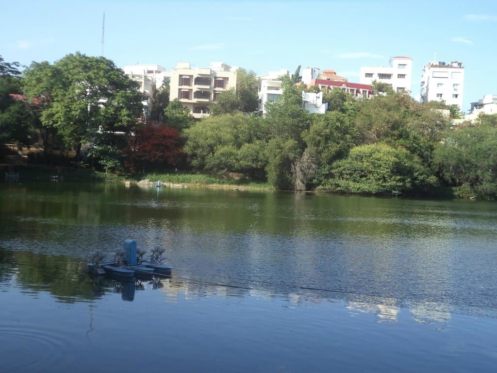 Lotus pond