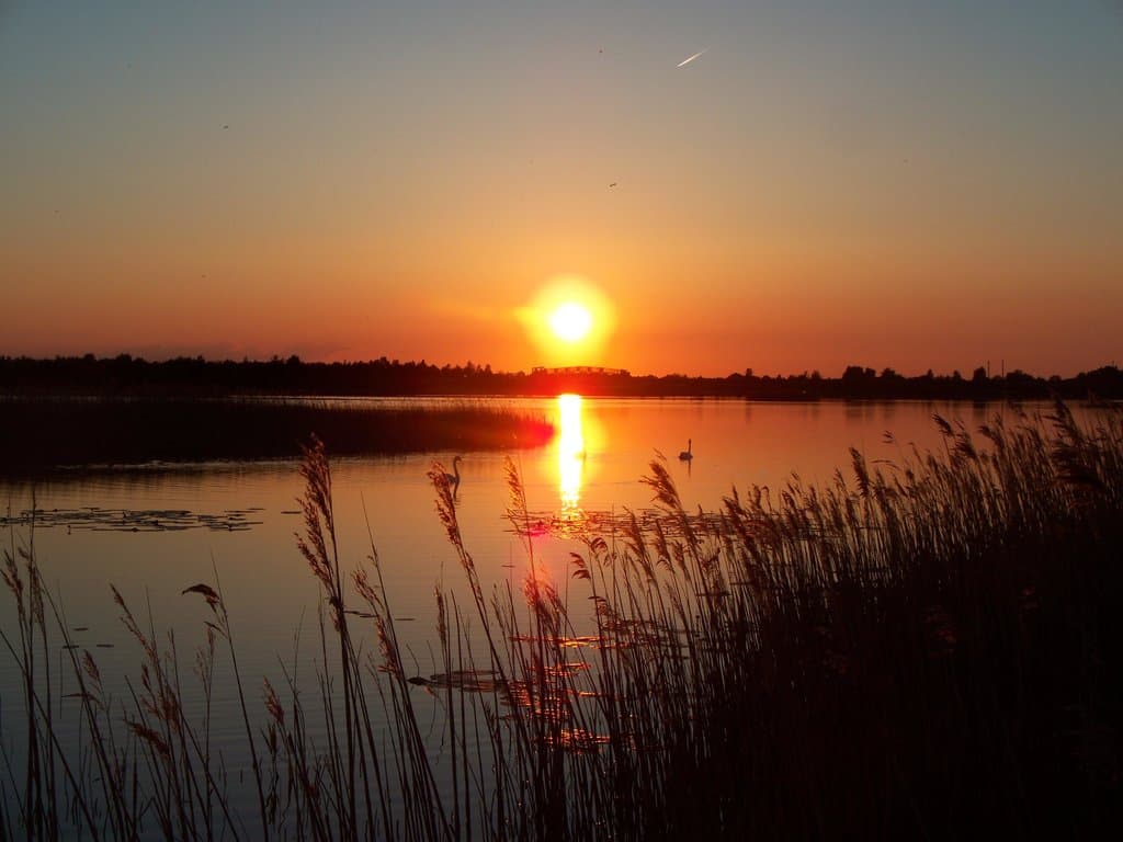 Lough Boora Discovery Park