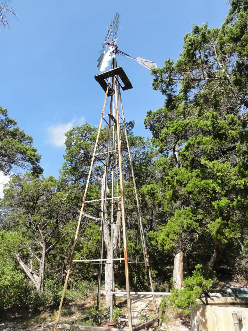 The Old Windmill