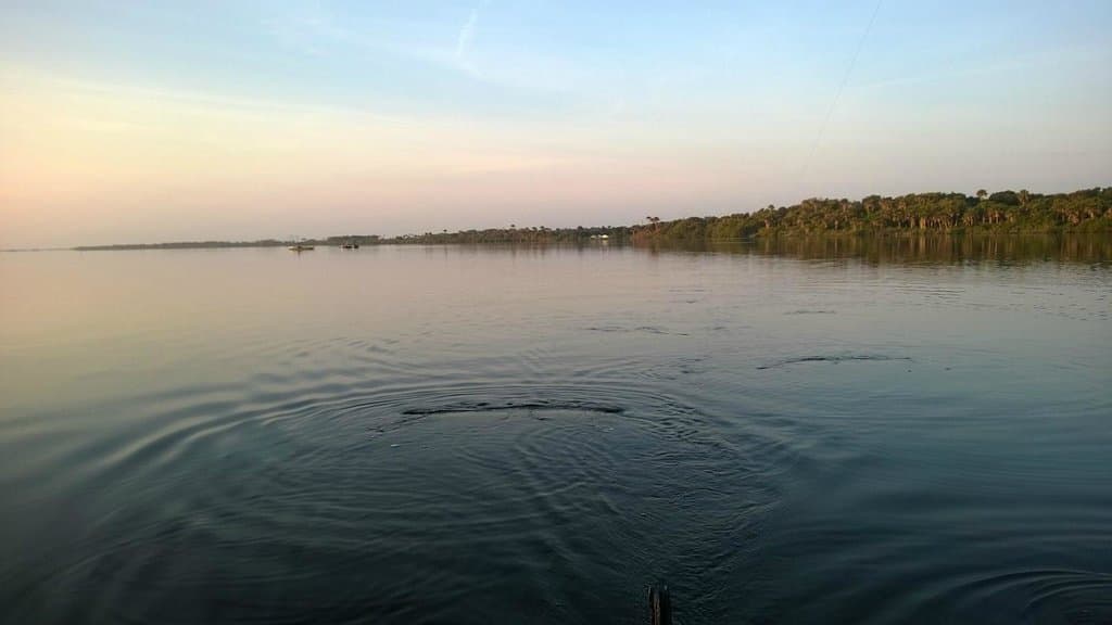 Fishing