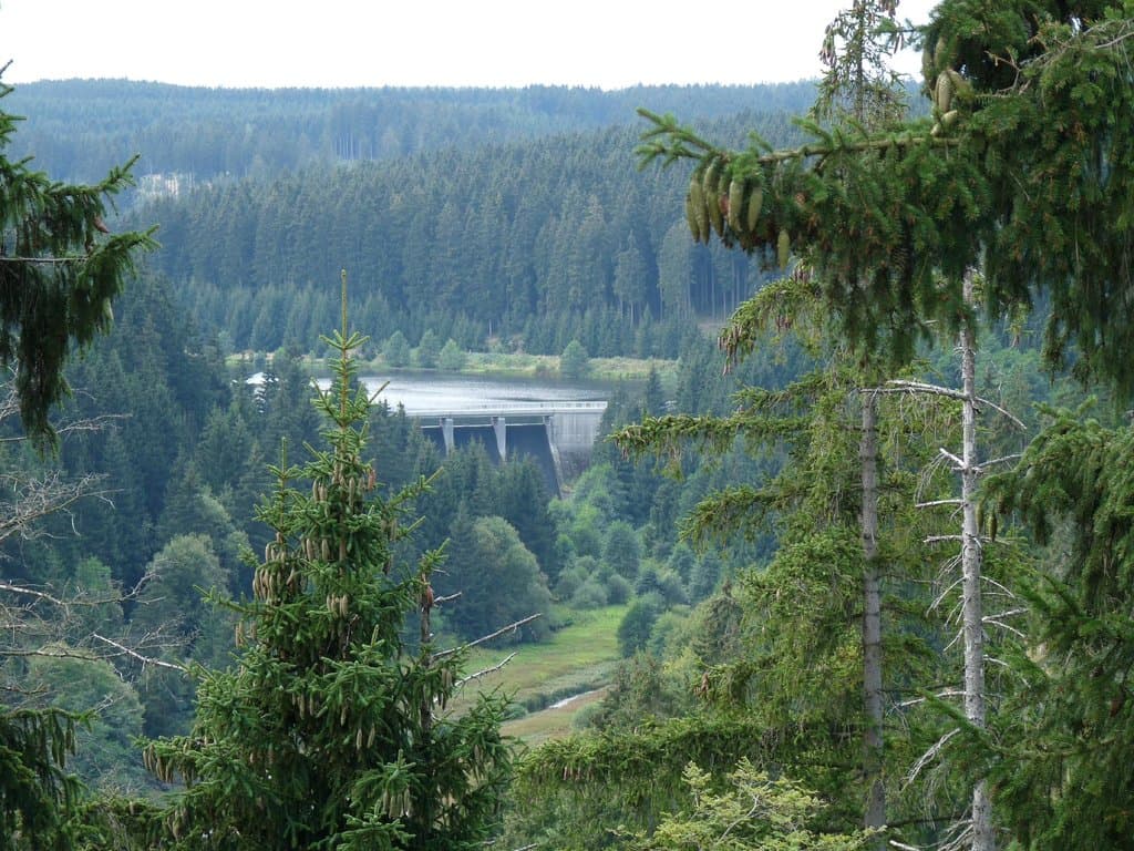 Blick auf die Staumauer der Rappbodevorsperre