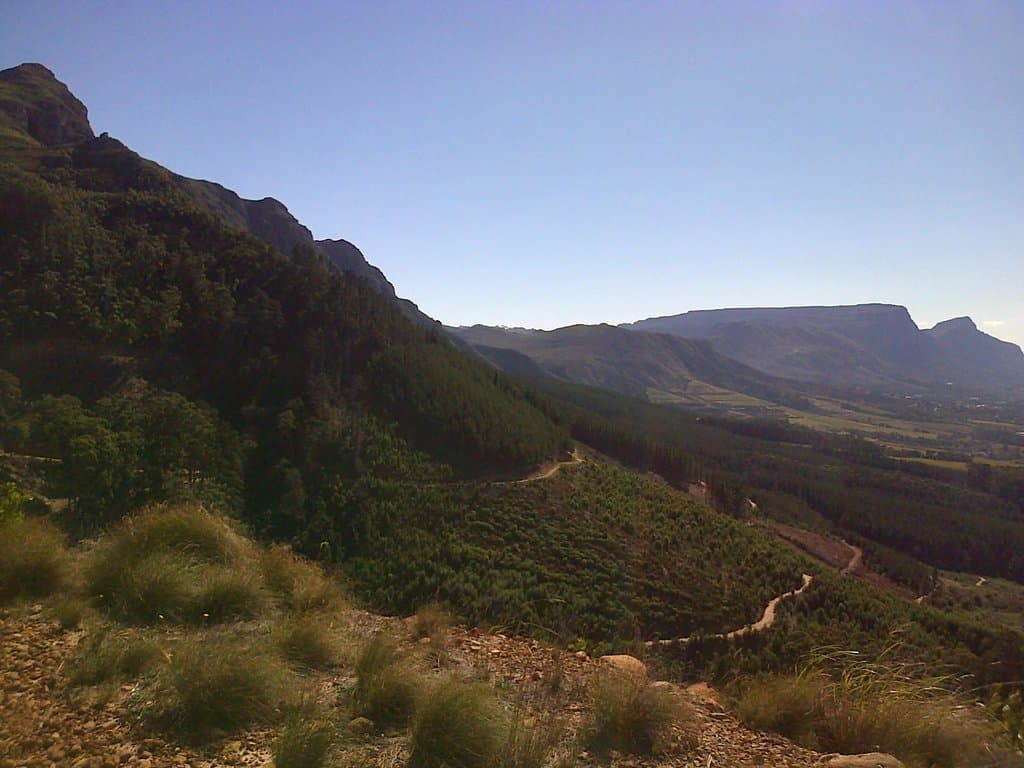 Looking down over Tokai plantation