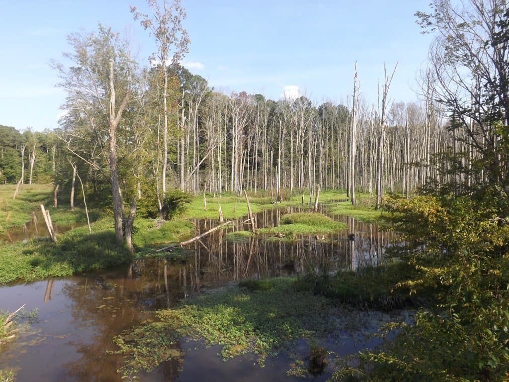 open spaces