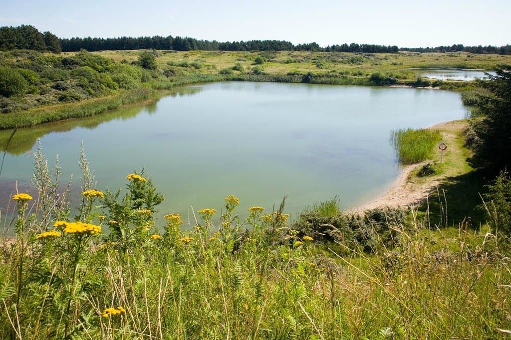 Bike trip in Hune -Blokhus