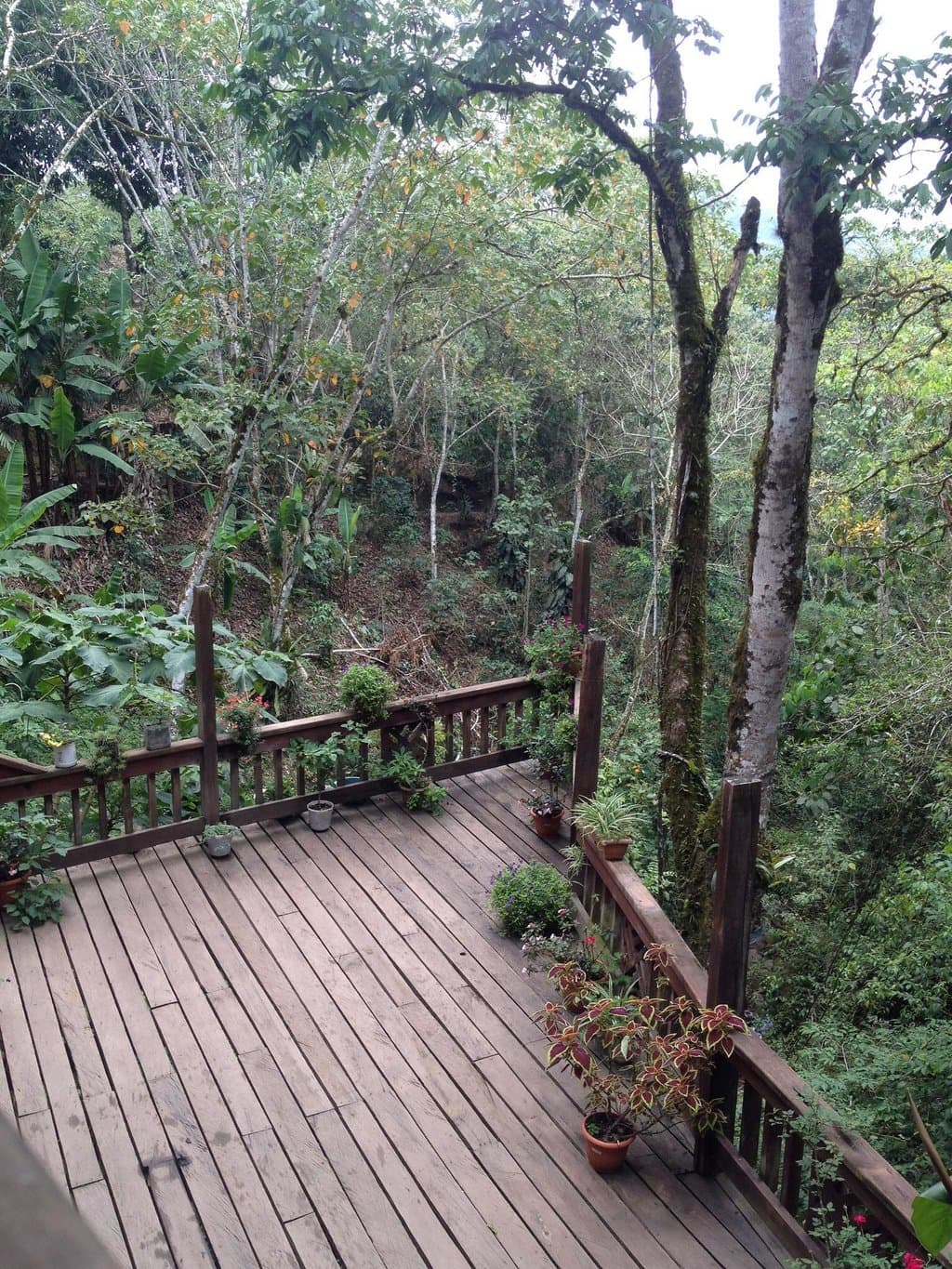 Beautiful view while having a delicious lunch!