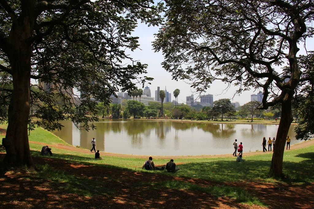 A broad view of the lake