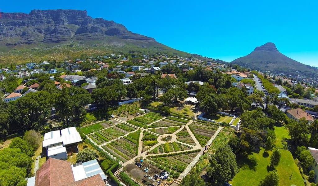 Aerial of OZCF showing its formal layout and urban context