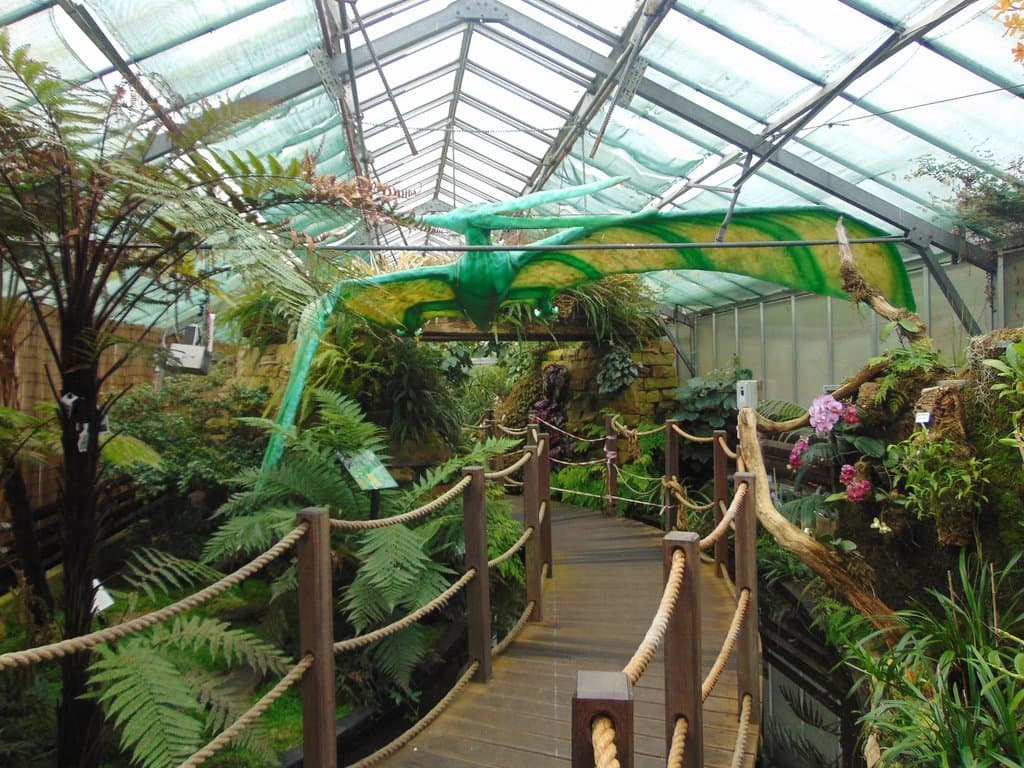 Jungle Experience