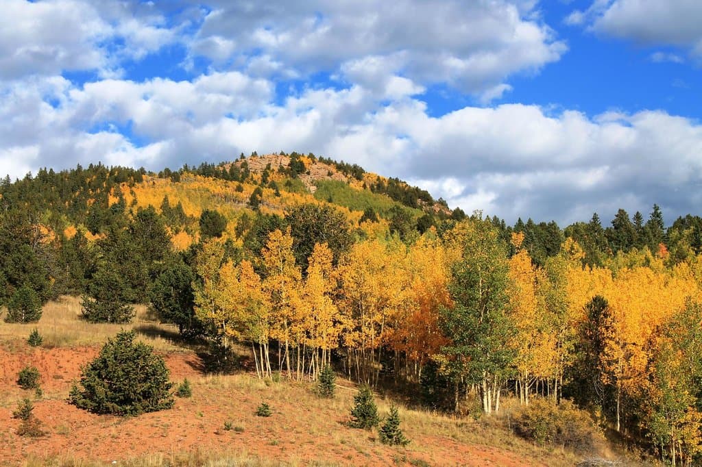 Near the top of the road