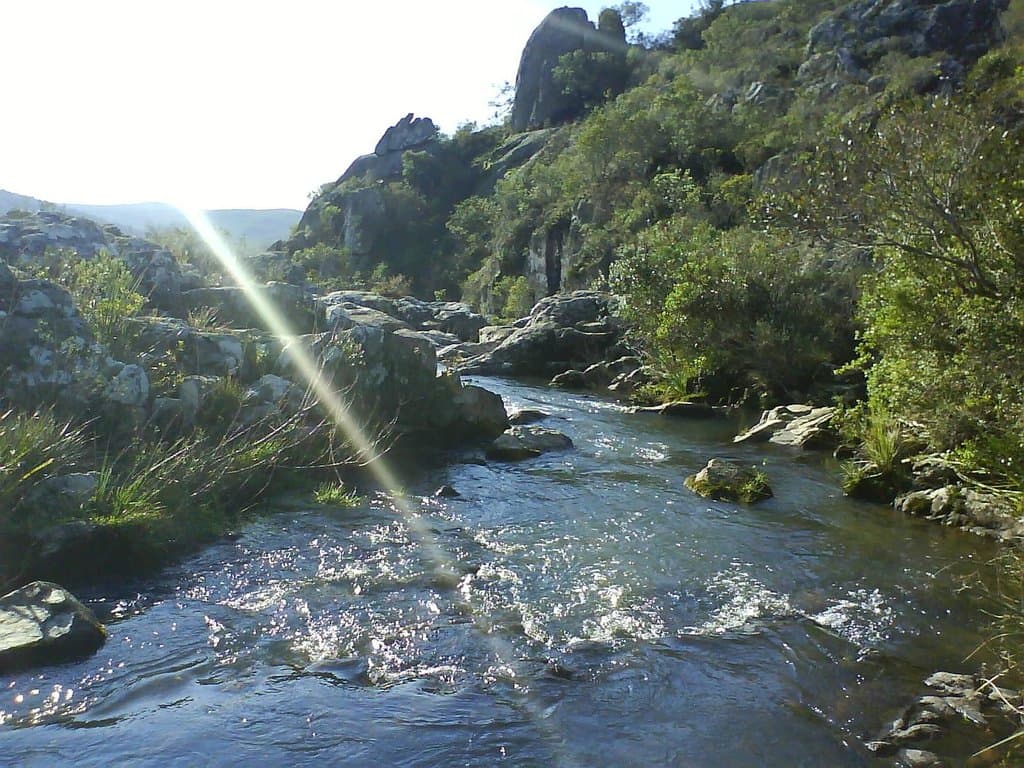 antes del salto