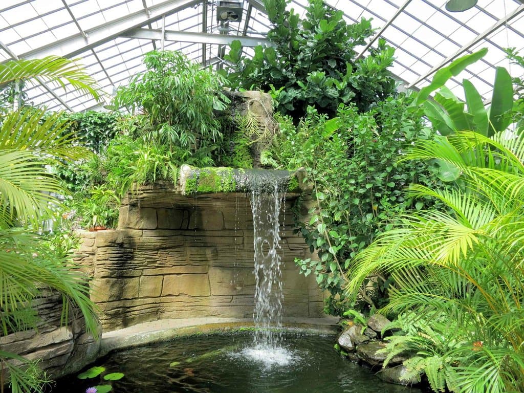 A litte bit of the tropics in Indianapolis