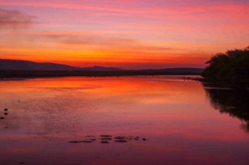 Sunset over billabong 1