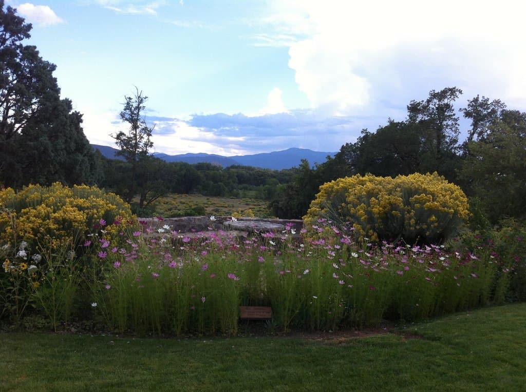 The yard outside home