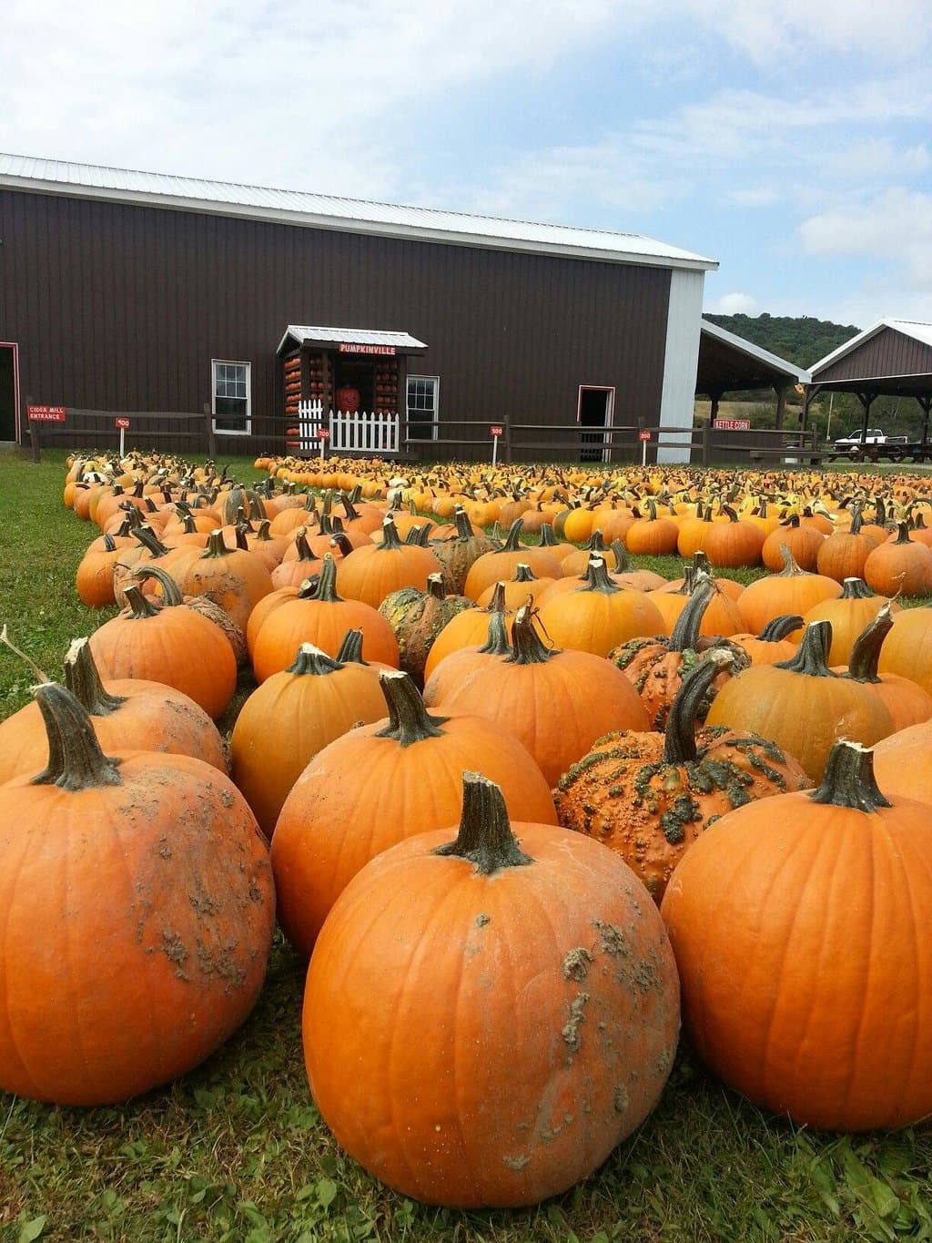 Just one of several rows