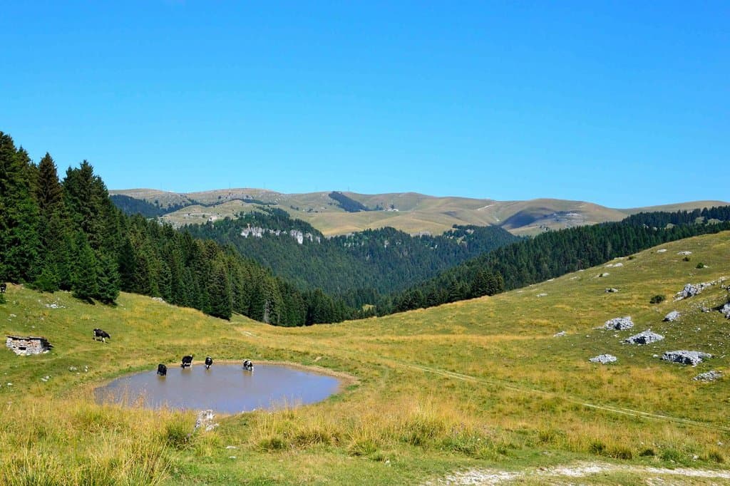 bocca di selva