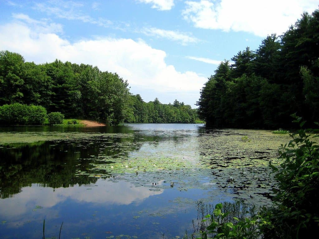 Lake Wintergreen in all its glory!