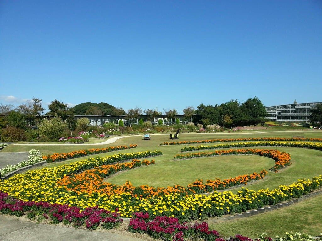 中央の芝生広場も圧巻です！(10月上旬撮影)