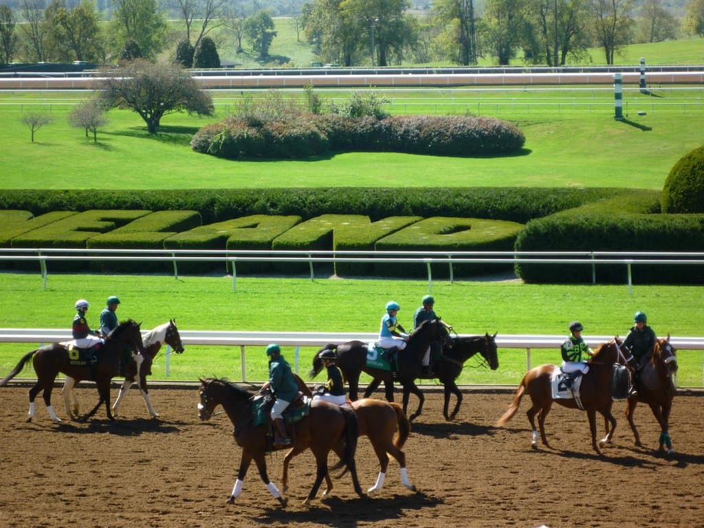 To the starting gate