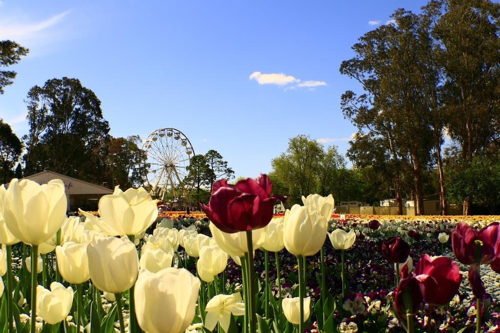 floriade