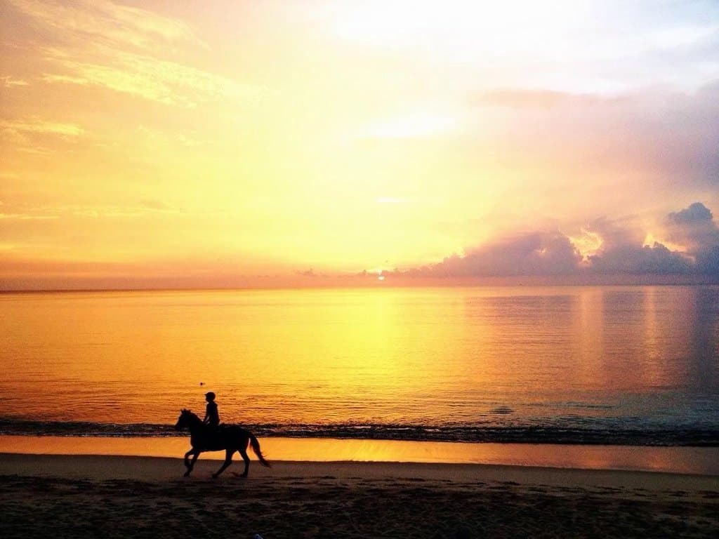 Summer is coming, seeing sunset on horseback on the beach is recommended , what are you waiting