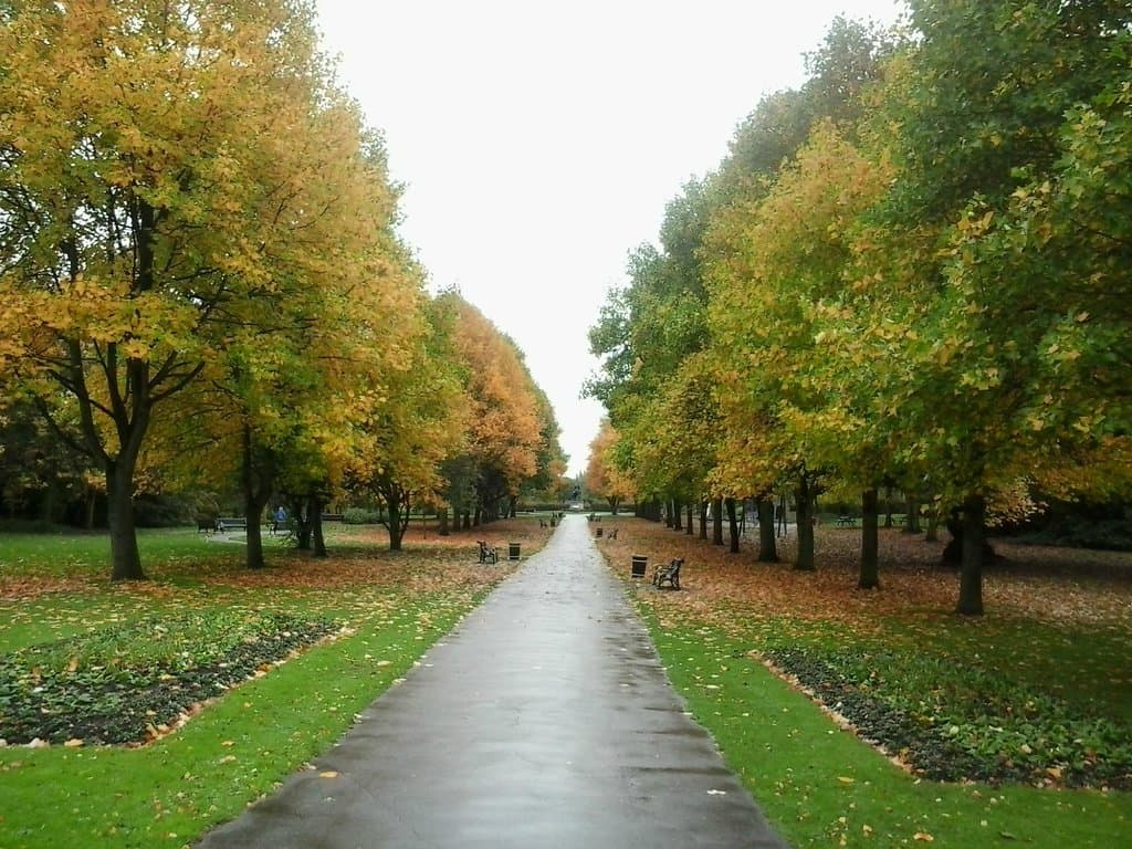 Fall colours in Malvern Brueton park Solihull.Photo credit C.RCosta