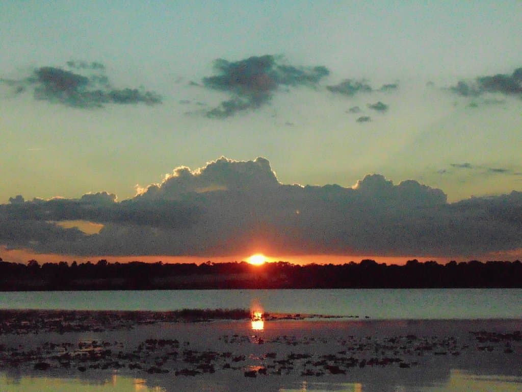 Bill Frederick Park