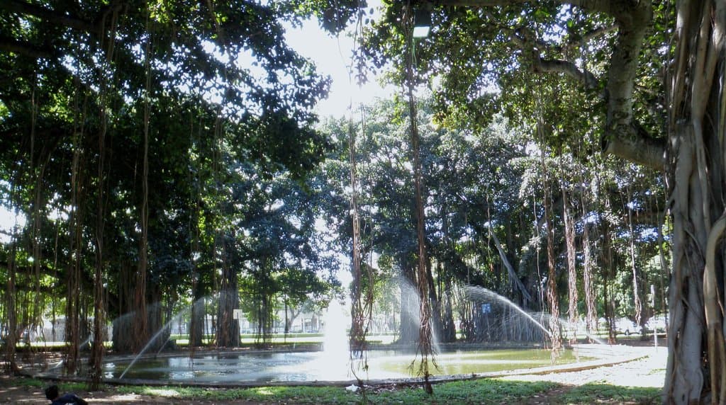 Honolulu- Thomas Square Fountain, Bernie Strehler, Molokai Hawaii