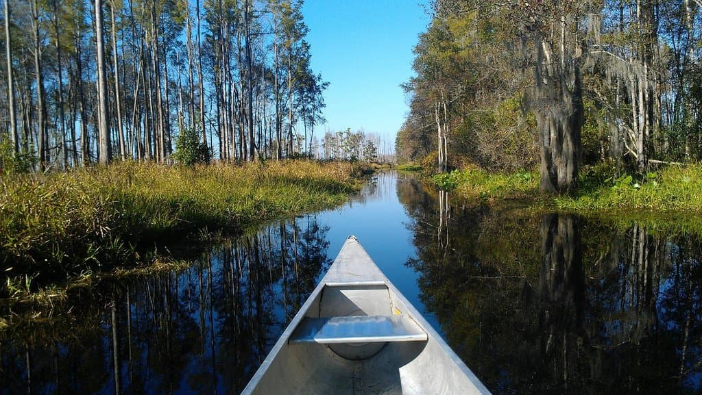 the canal from the park to the main channel "Billy's Lake."