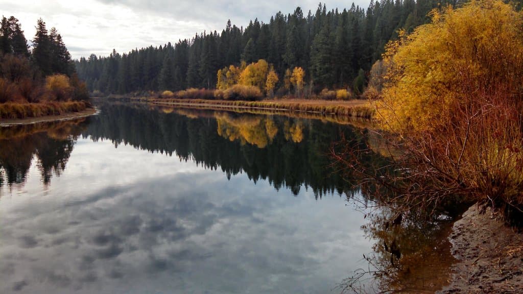 Reflections of Clouds