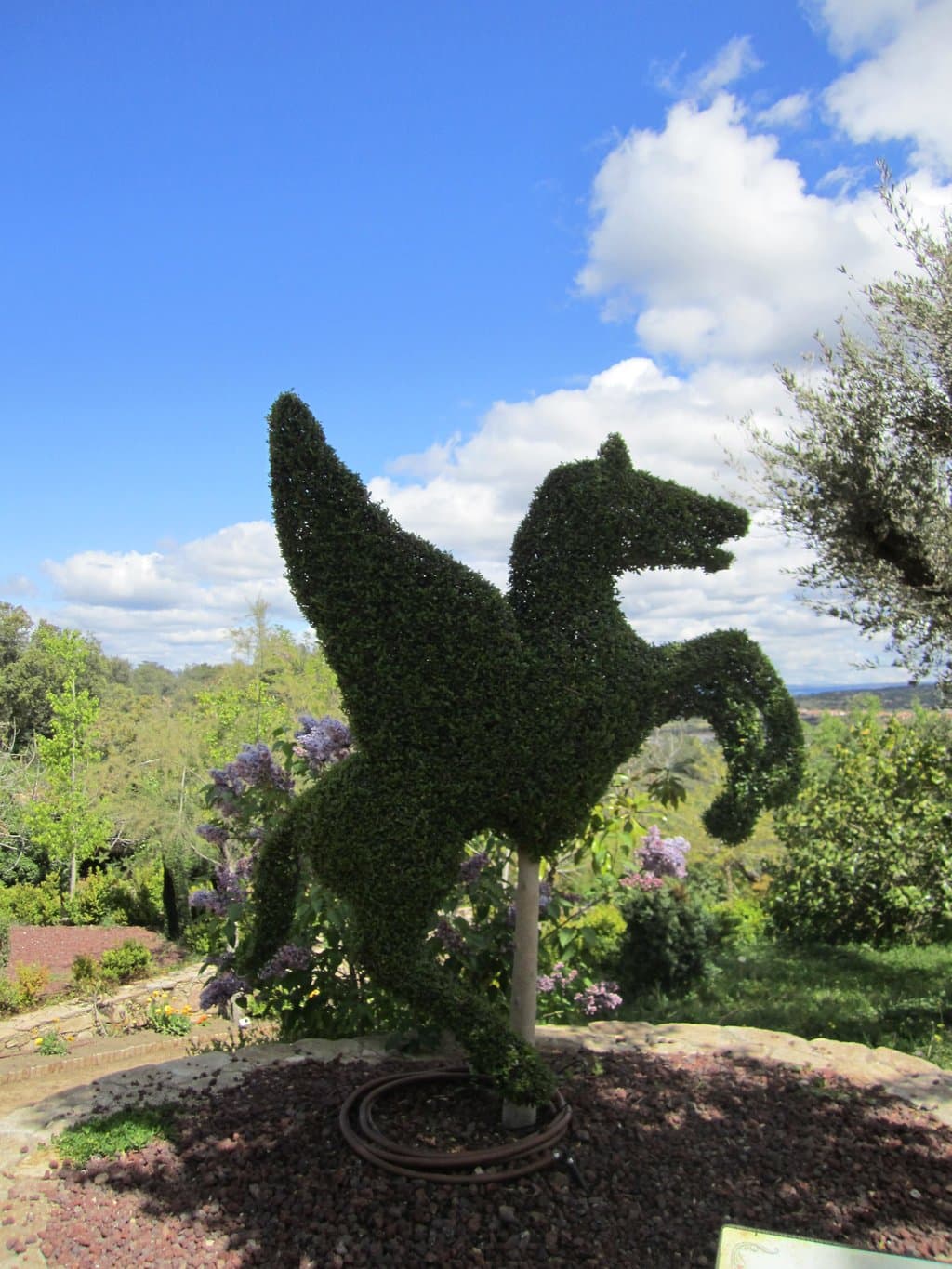 FIGURA