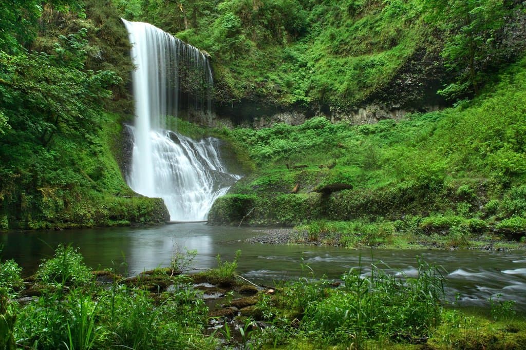Silver Falls State Park