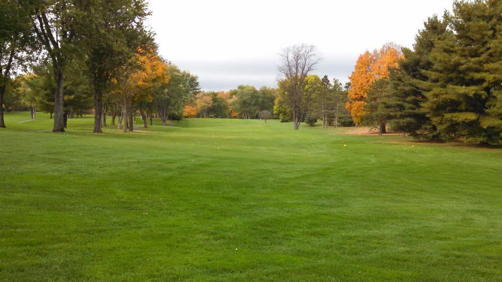 another fairway