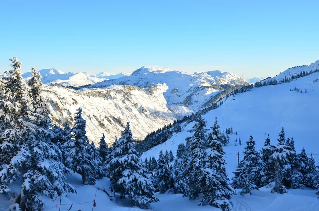 Looking out over the bowl