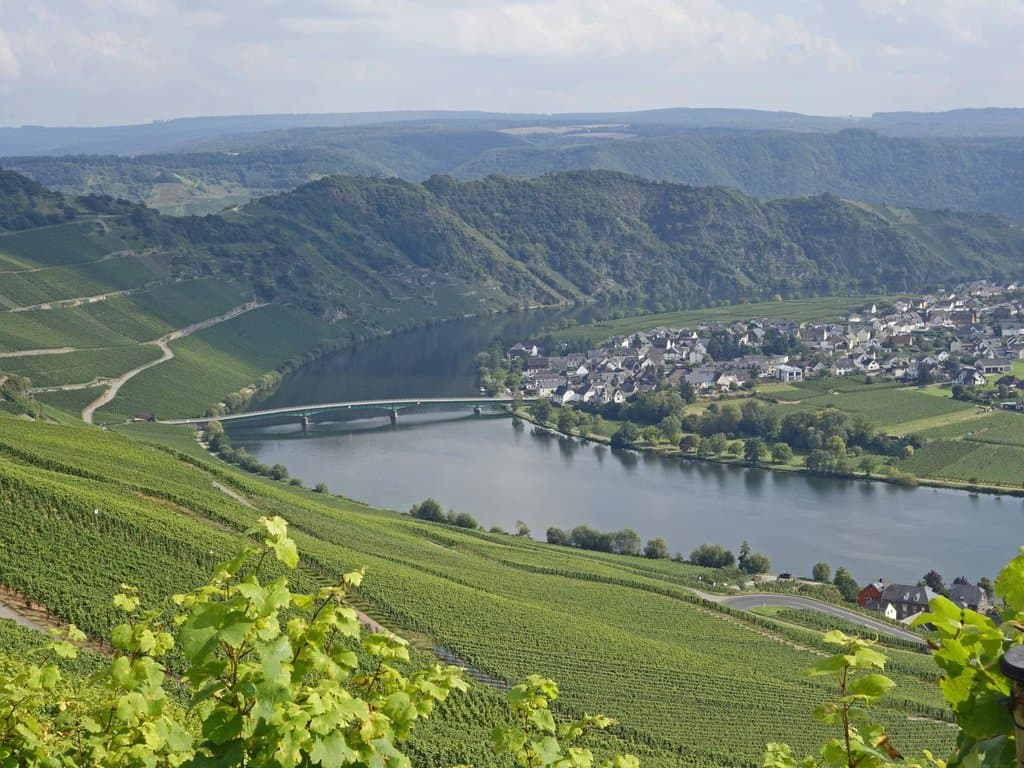 Moselsteig Aussicht