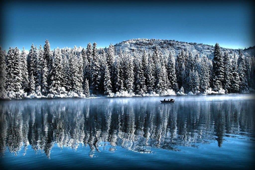 Snow at Hume Lake