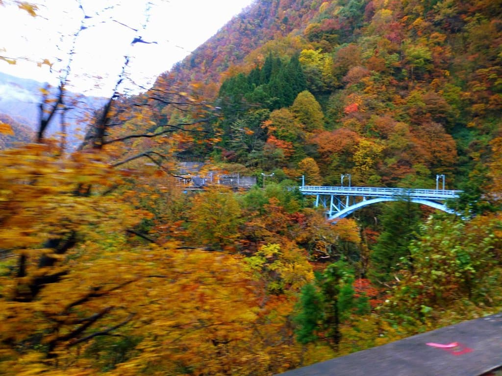 後曳橋と紅葉