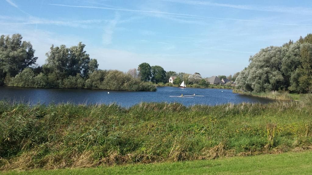 Sunday walk in the Westerveldsebos