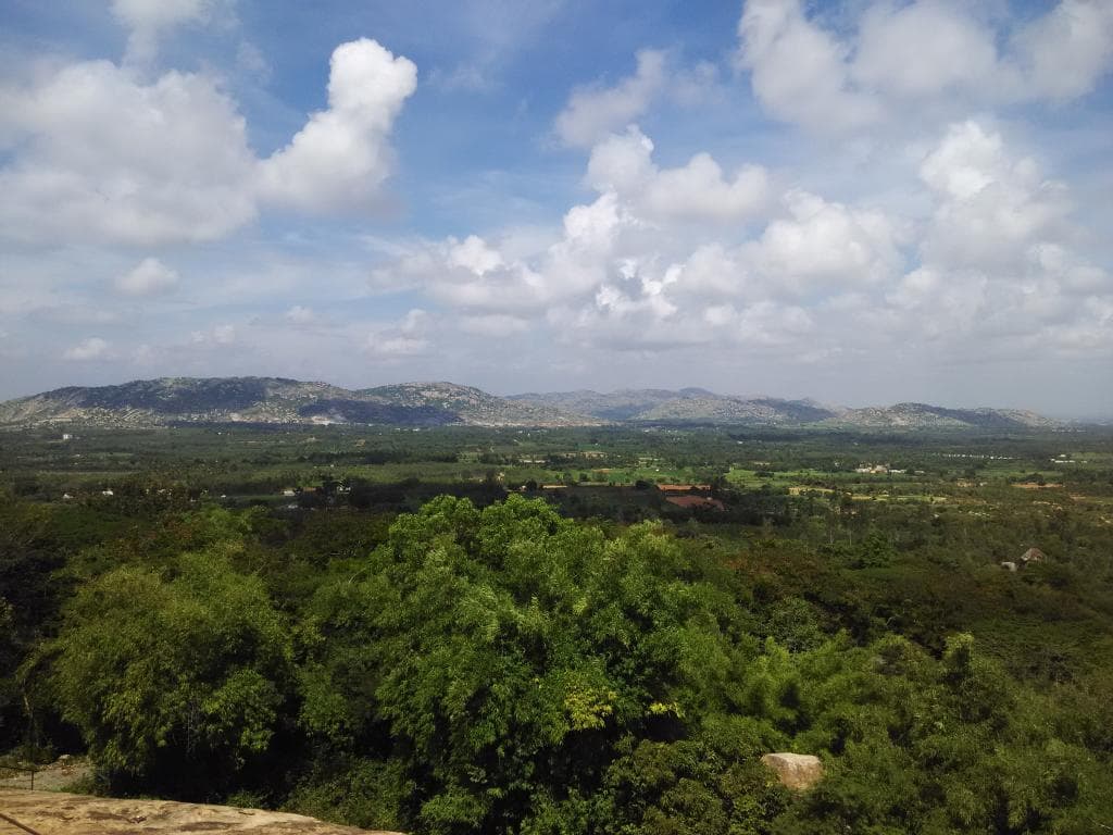 Beautiful Location for Nature lovers