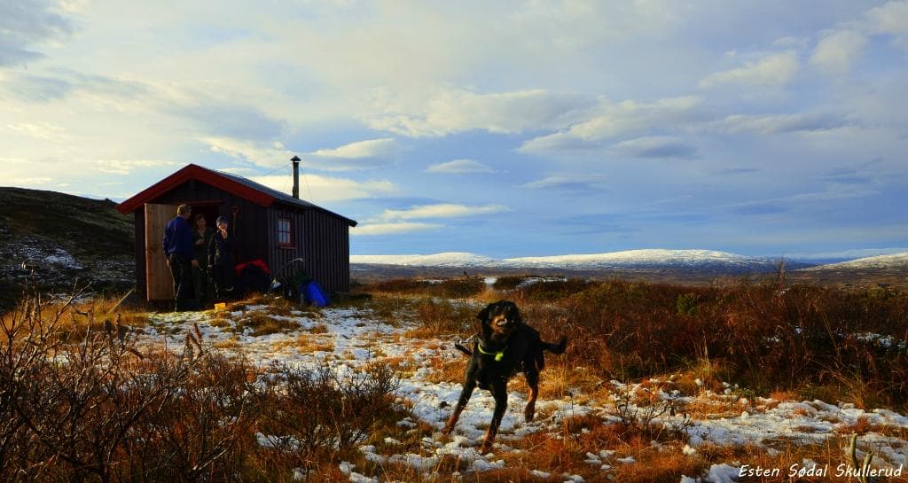 Forollhogna National Park Norway