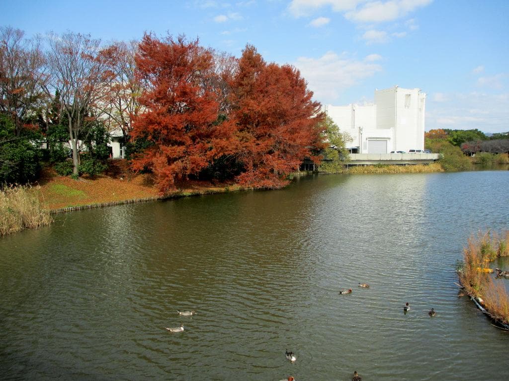 大池の周り