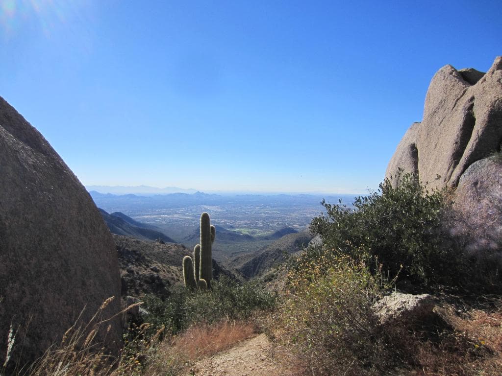 The Valley.