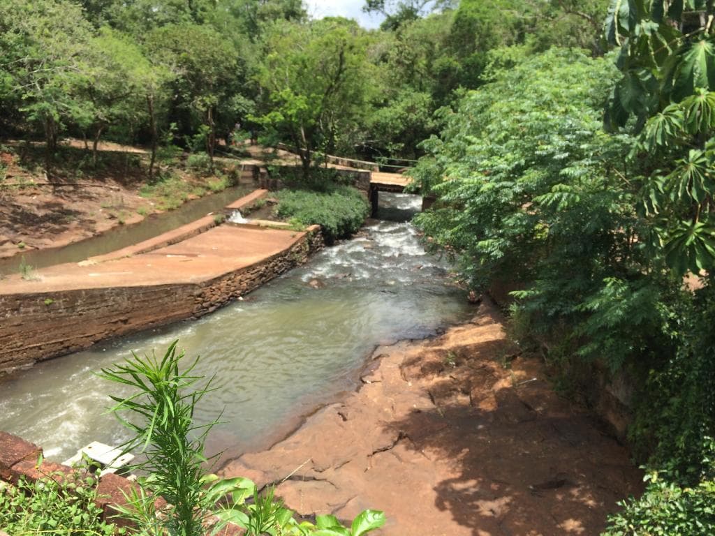 Parque Arthur Thomas