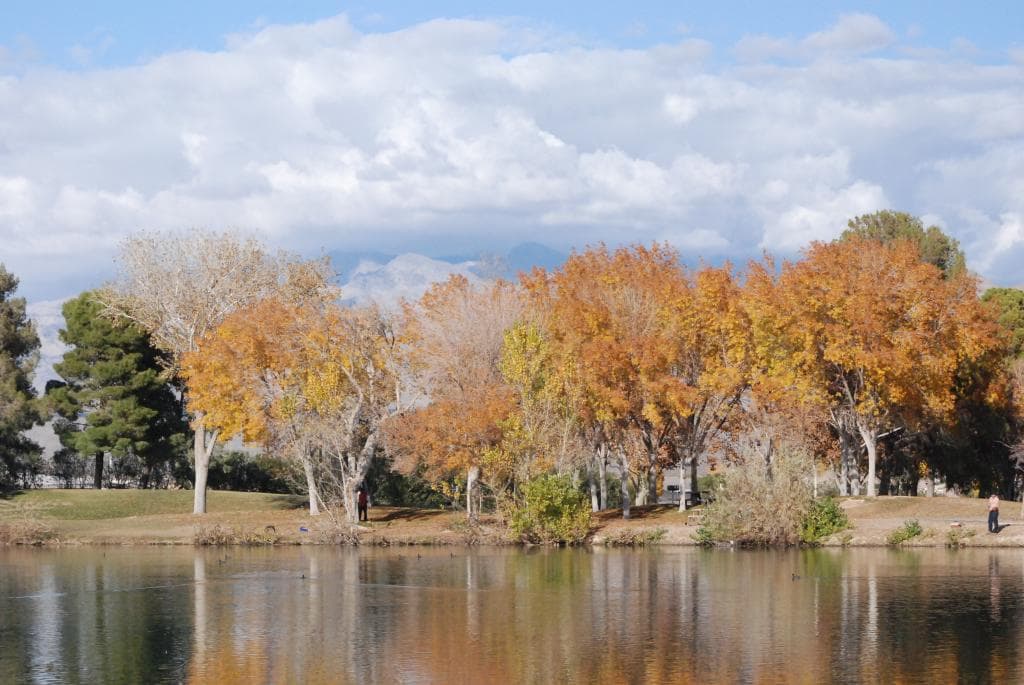 Fall foliage at Park