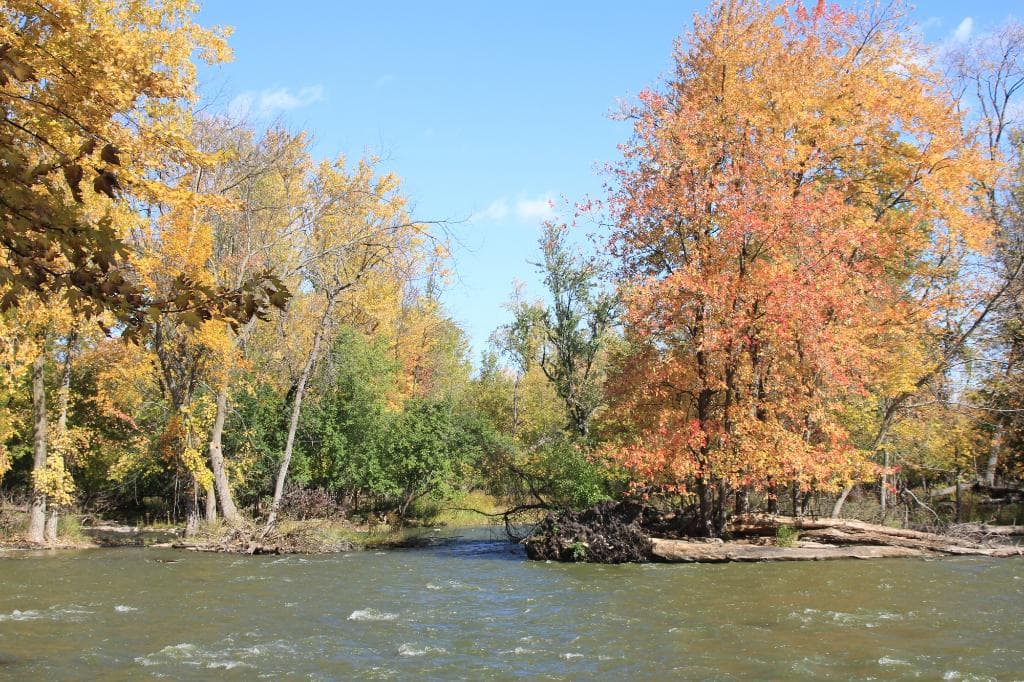 more fall colors