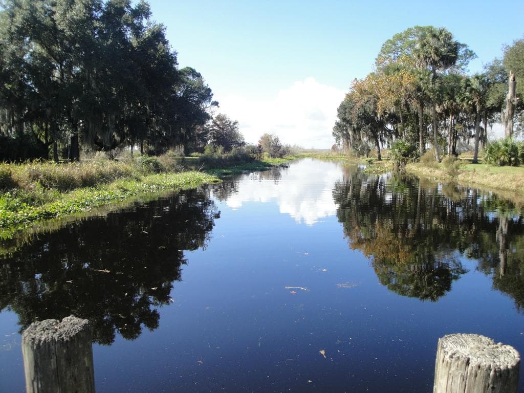 Ручей в парке Роулингс