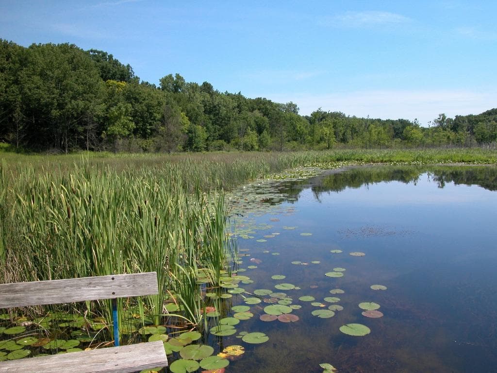 Lake Lonidaw