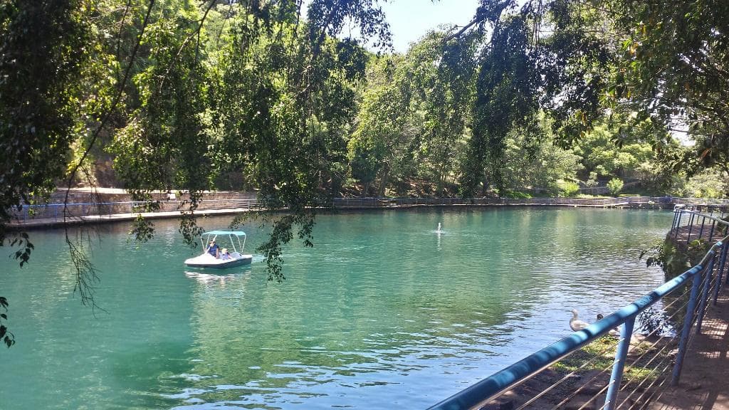 Paddle boats on small man-made lagoon.