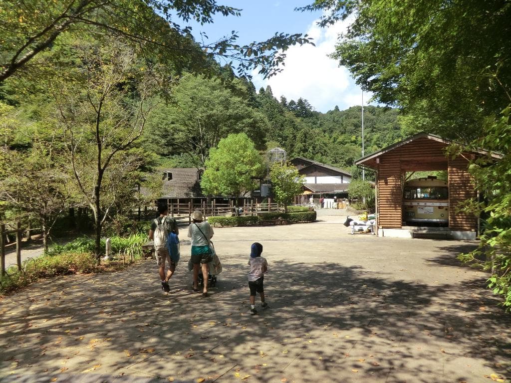 入口方向右にバス左にポニー乗り場