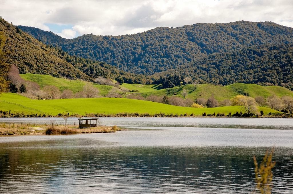 Lake Okareka Boardwalk