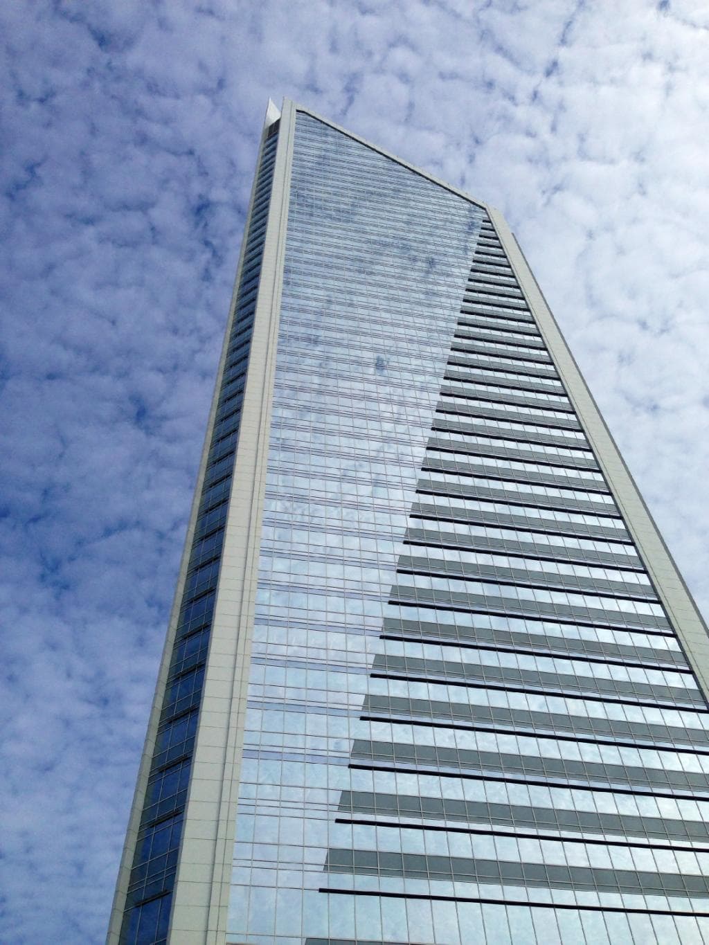 View from the terrace!